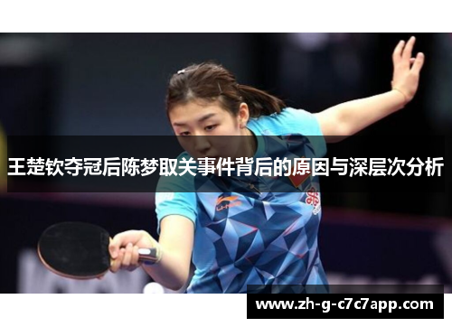 王楚钦夺冠后陈梦取关事件背后的原因与深层次分析